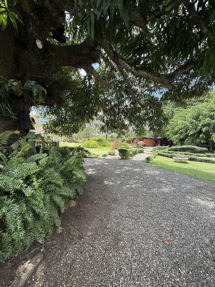 Preciosa finca vacacional y de recreo en venta. A solo 45 minutos de la ciudad. - Foto 34