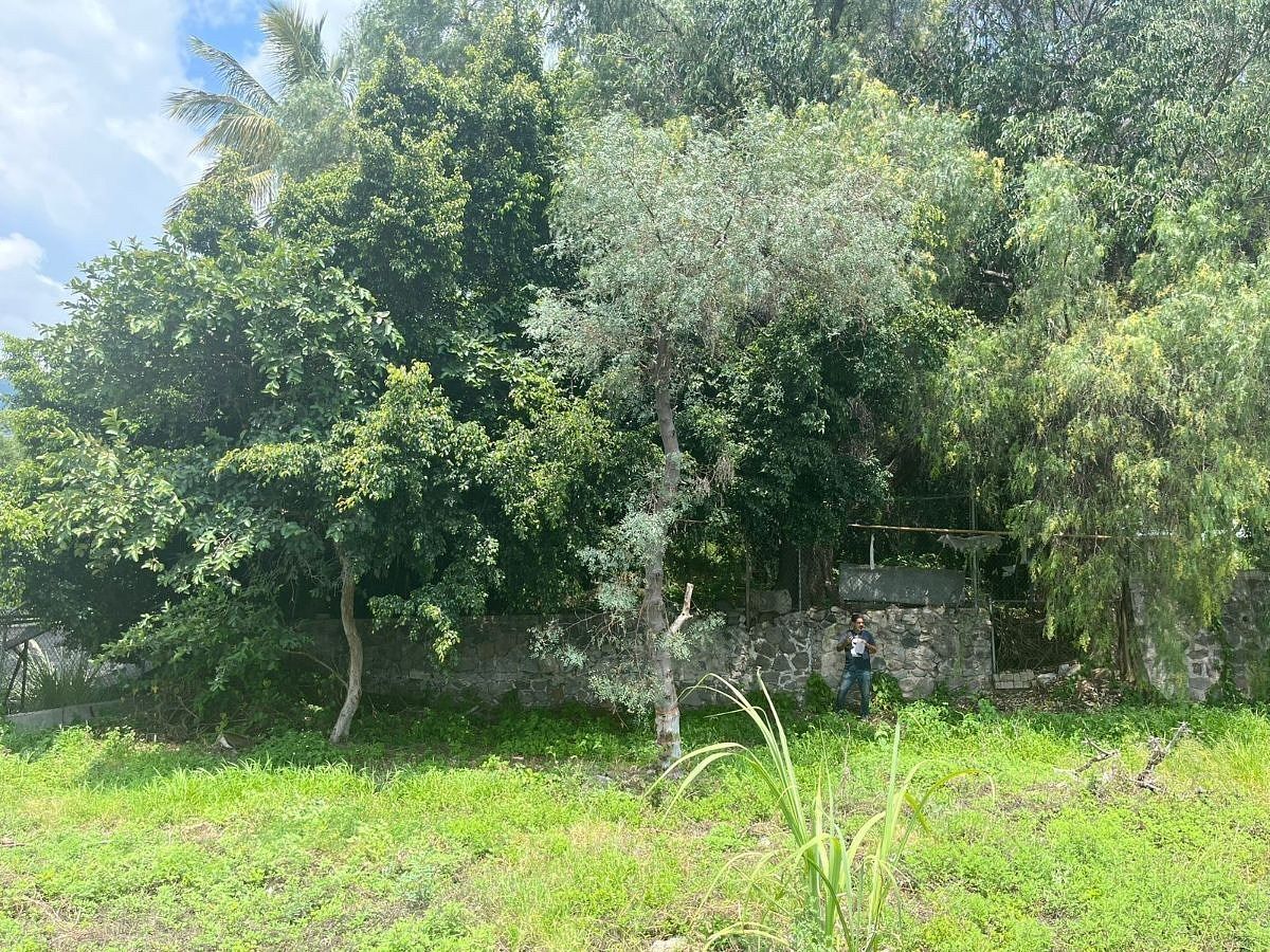 Lote em Ajijic Centro, Chapala, foto 4 de 5
