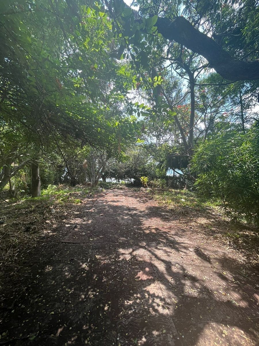 Lote em Ajijic Centro, Chapala, foto 5 de 5