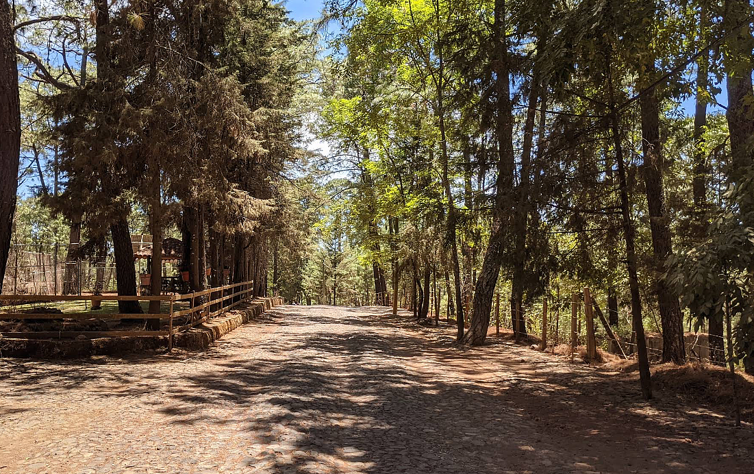 Lote em Mazamitla, Mazamitla, foto 3 de 7