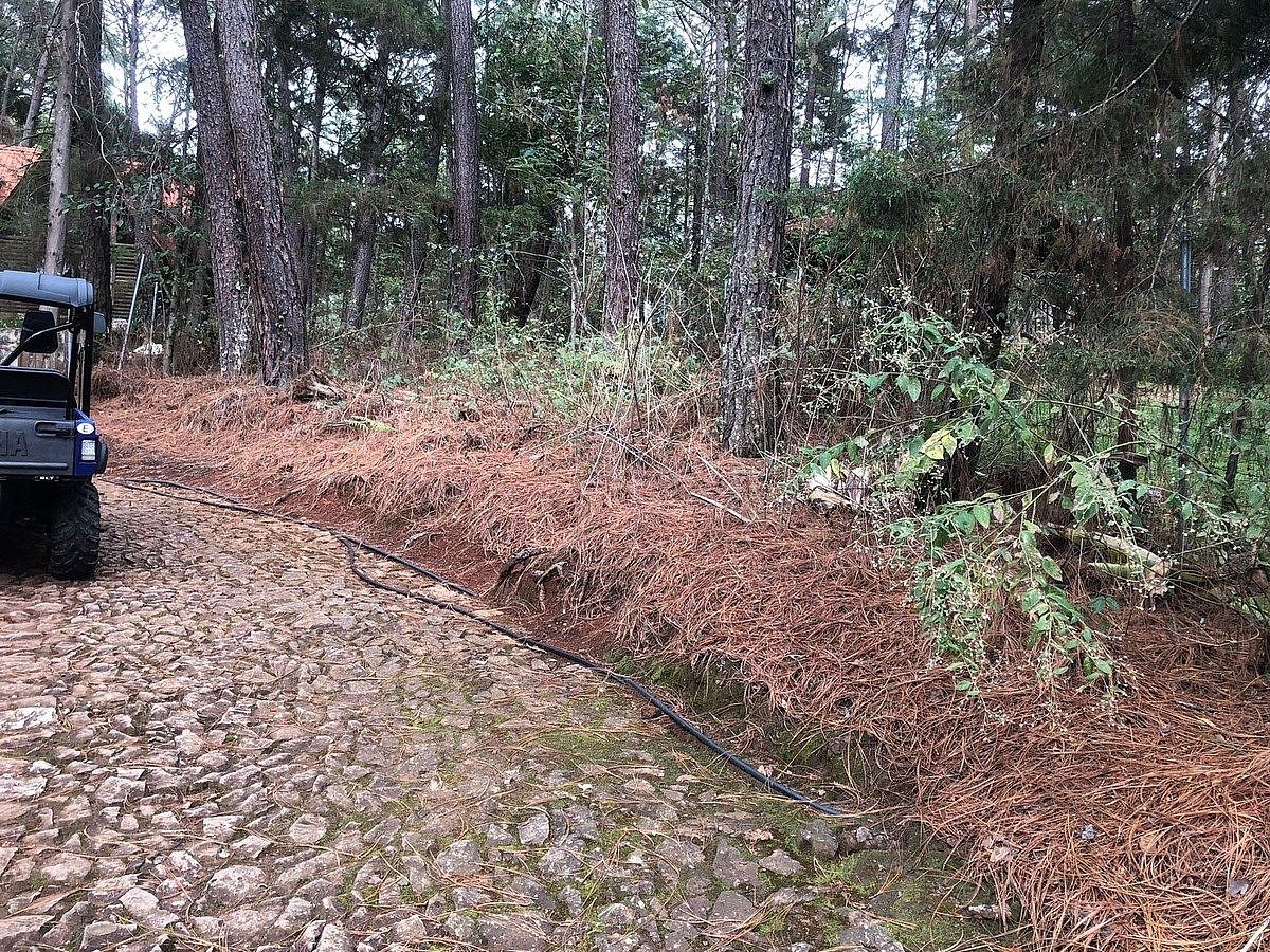 Lote em Mazamitla, Mazamitla, foto 6 de 7