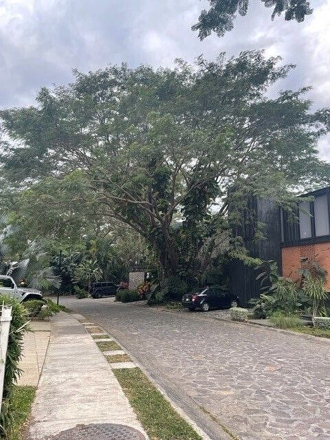 TERRENO RESIDENCIAL LAS PAROTAS, COLIMA, foto 1 de 7