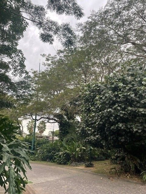 Lote em Residencial Esmeralda Norte, Colima, foto 7 de 7
