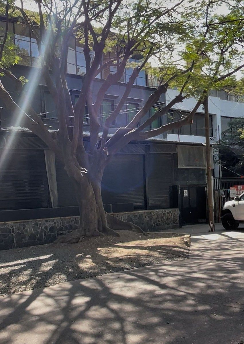 Local em Arcos Vallarta, Guadalajara, foto 6 de 8