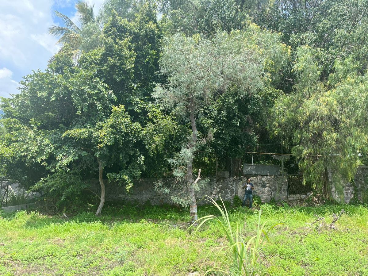 Terreno en Ajijic Centro, Chapala, foto 4 de 5