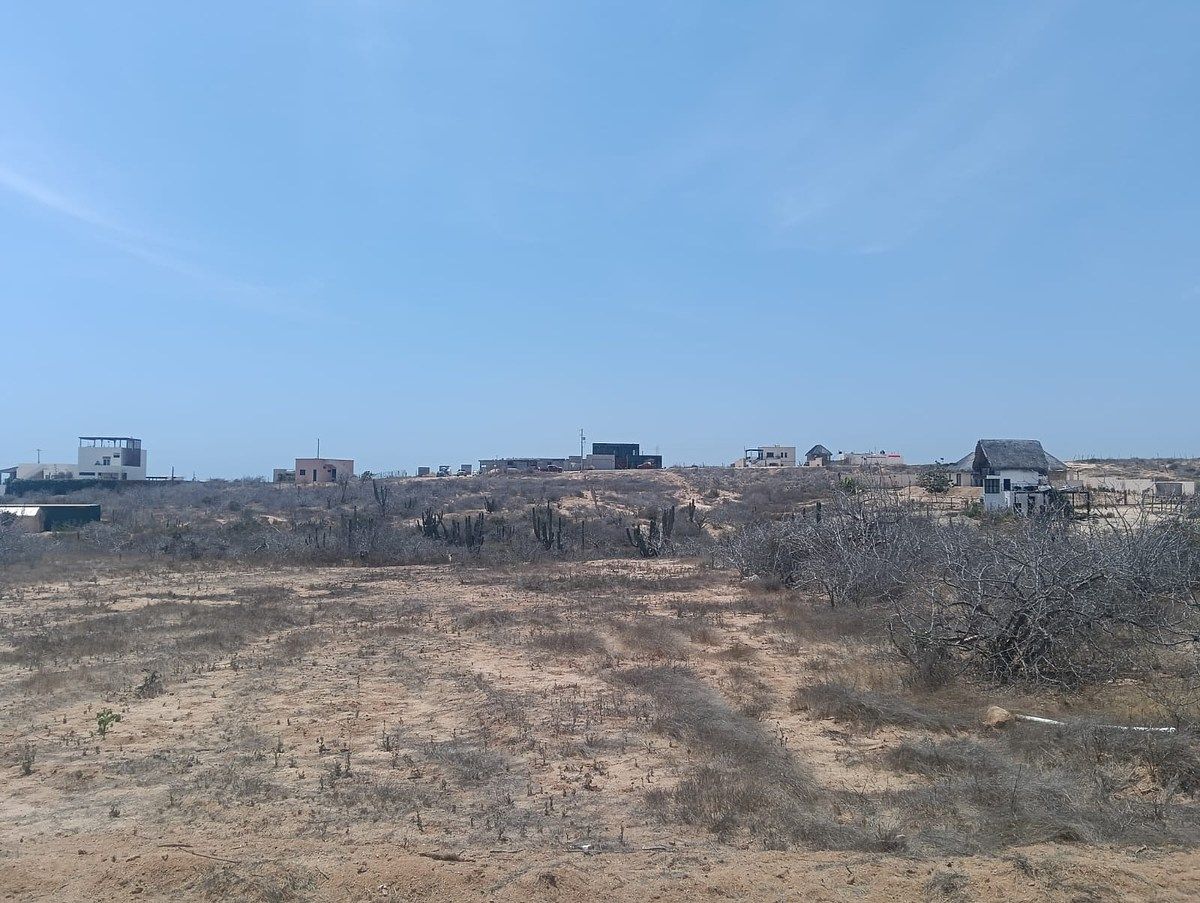 Lote em Vuelo del Águila, Todos Santos, foto 3 de 8