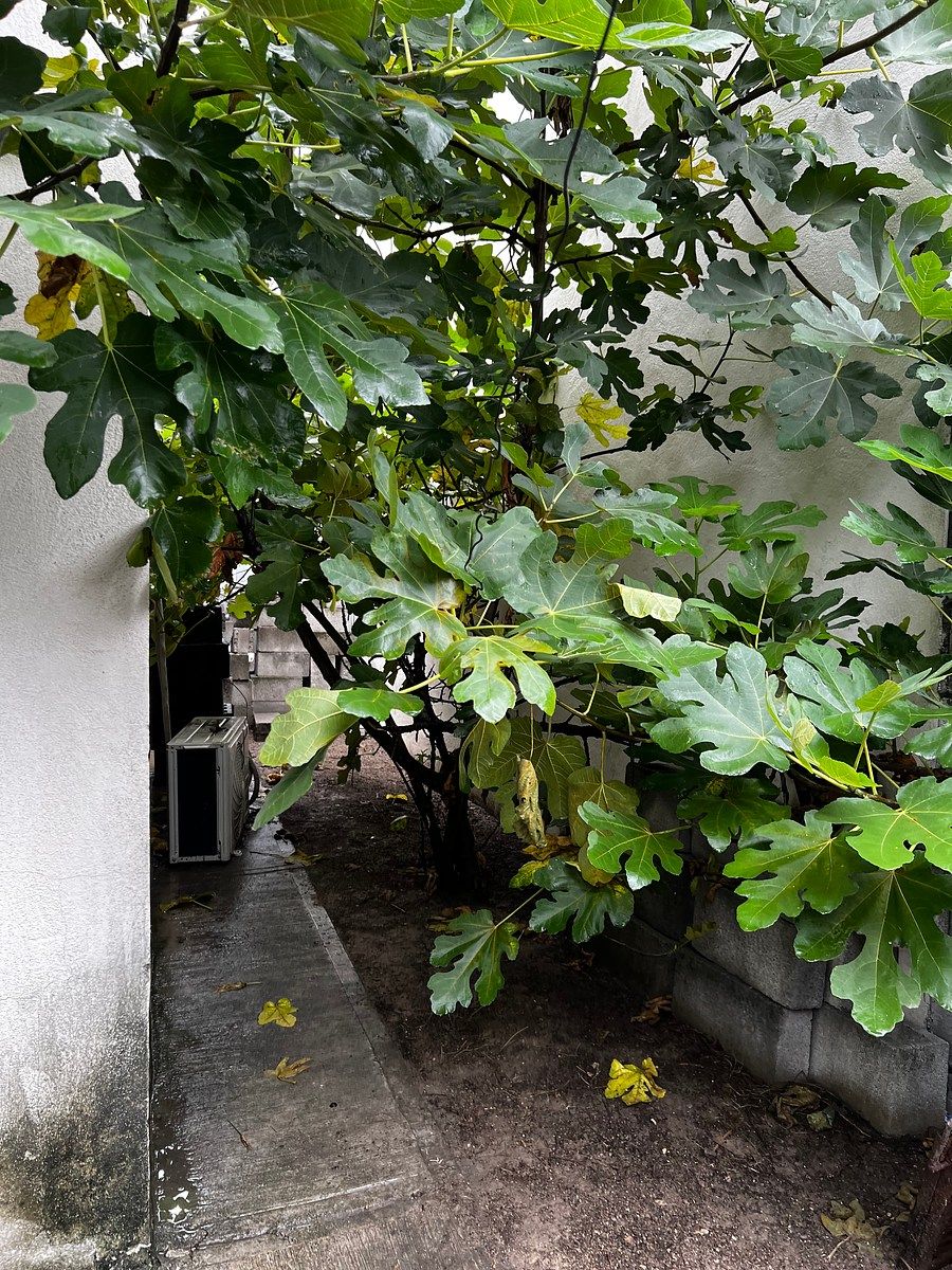 Casa em Tréboles, Apodaca, foto 9 de 21