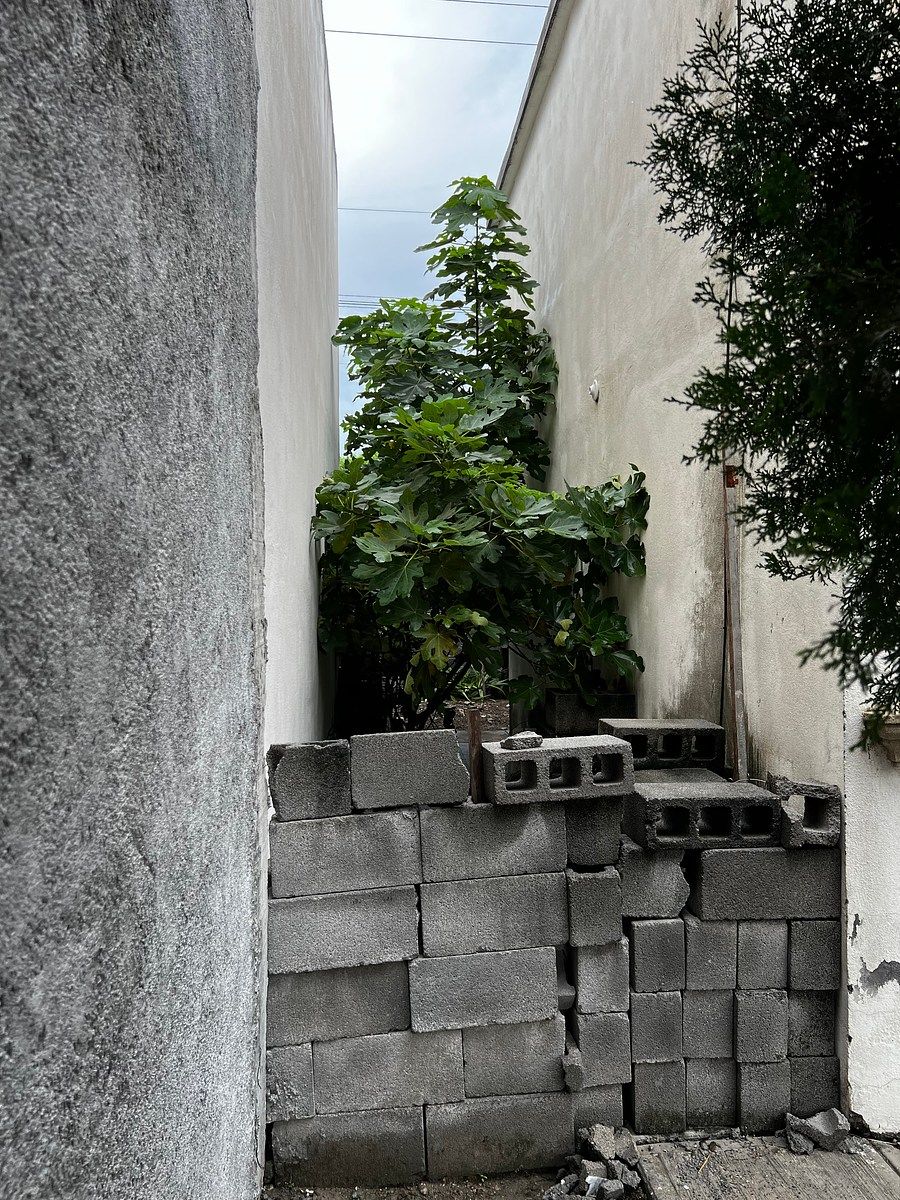 Casa em Tréboles, Apodaca, foto 10 de 21