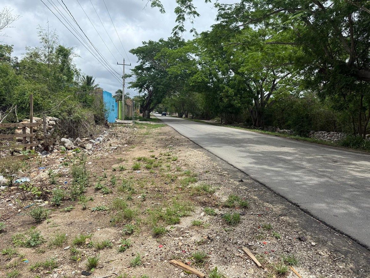 Lote em Santa Cruz Palomeque, Mérida, foto 2 de 10