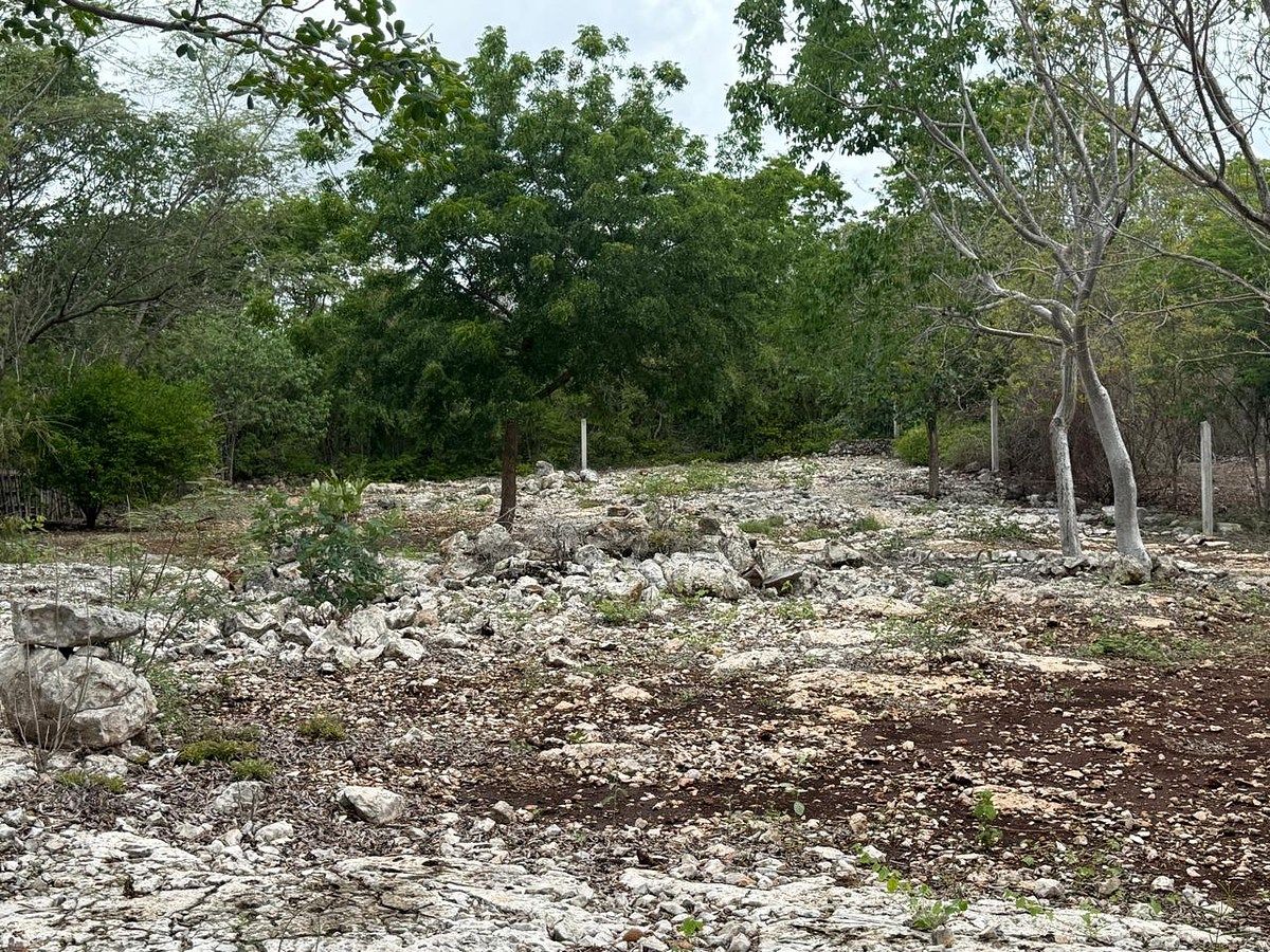 Lote em Santa Cruz Palomeque, Mérida, foto 5 de 10
