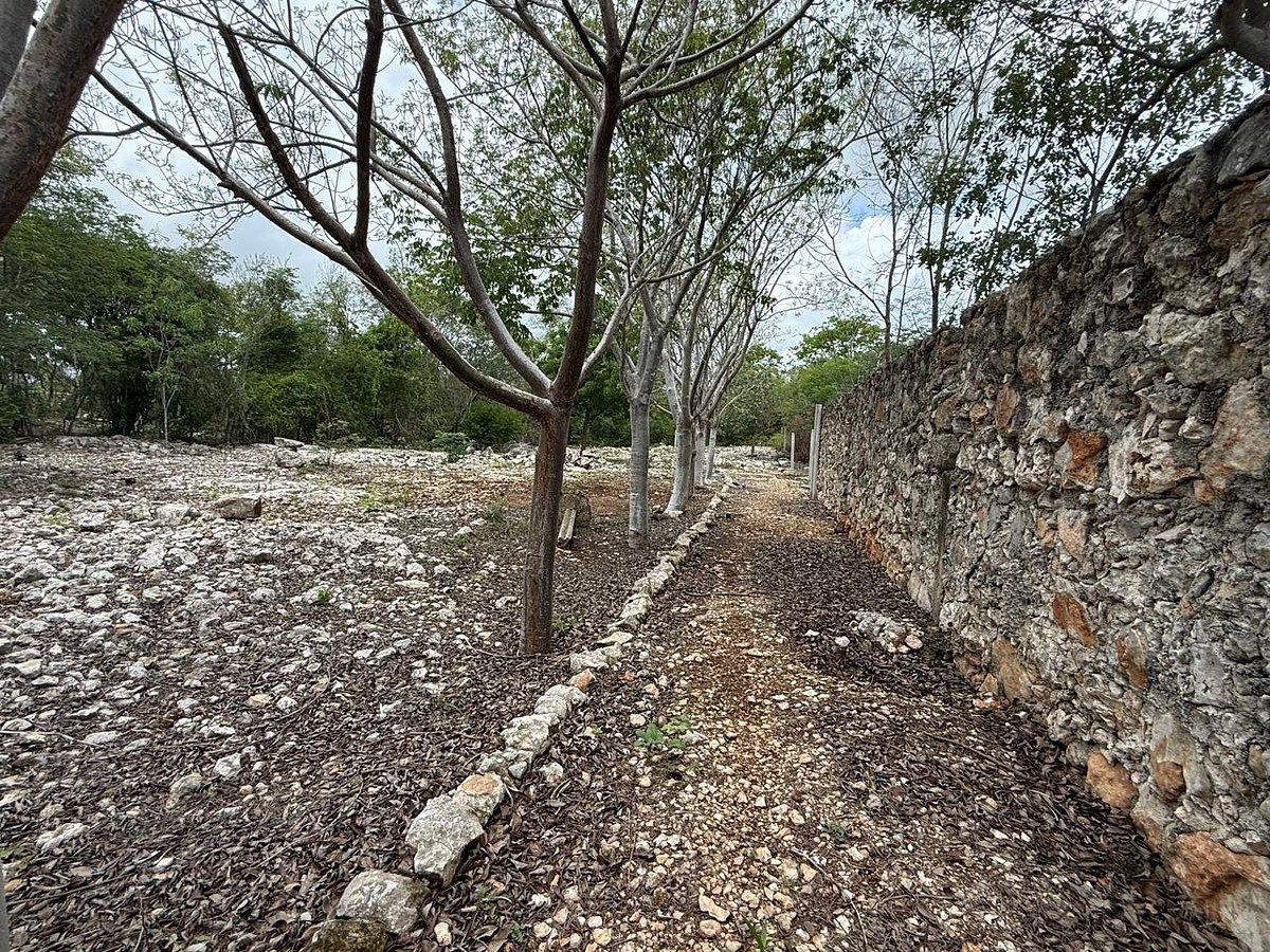 Lote em Santa Cruz Palomeque, Mérida, foto 6 de 10