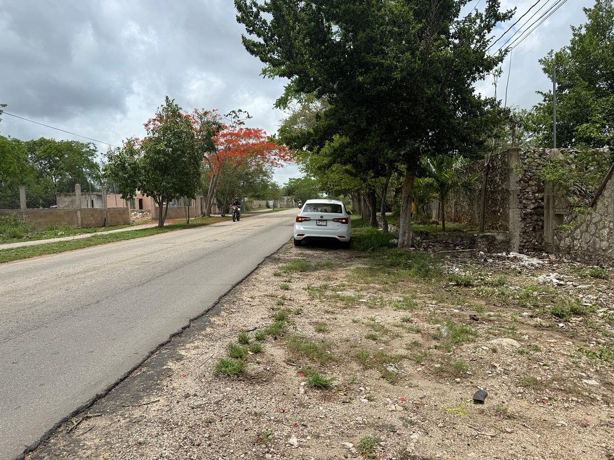 Lote em Santa Cruz Palomeque, Mérida, foto 3 de 10