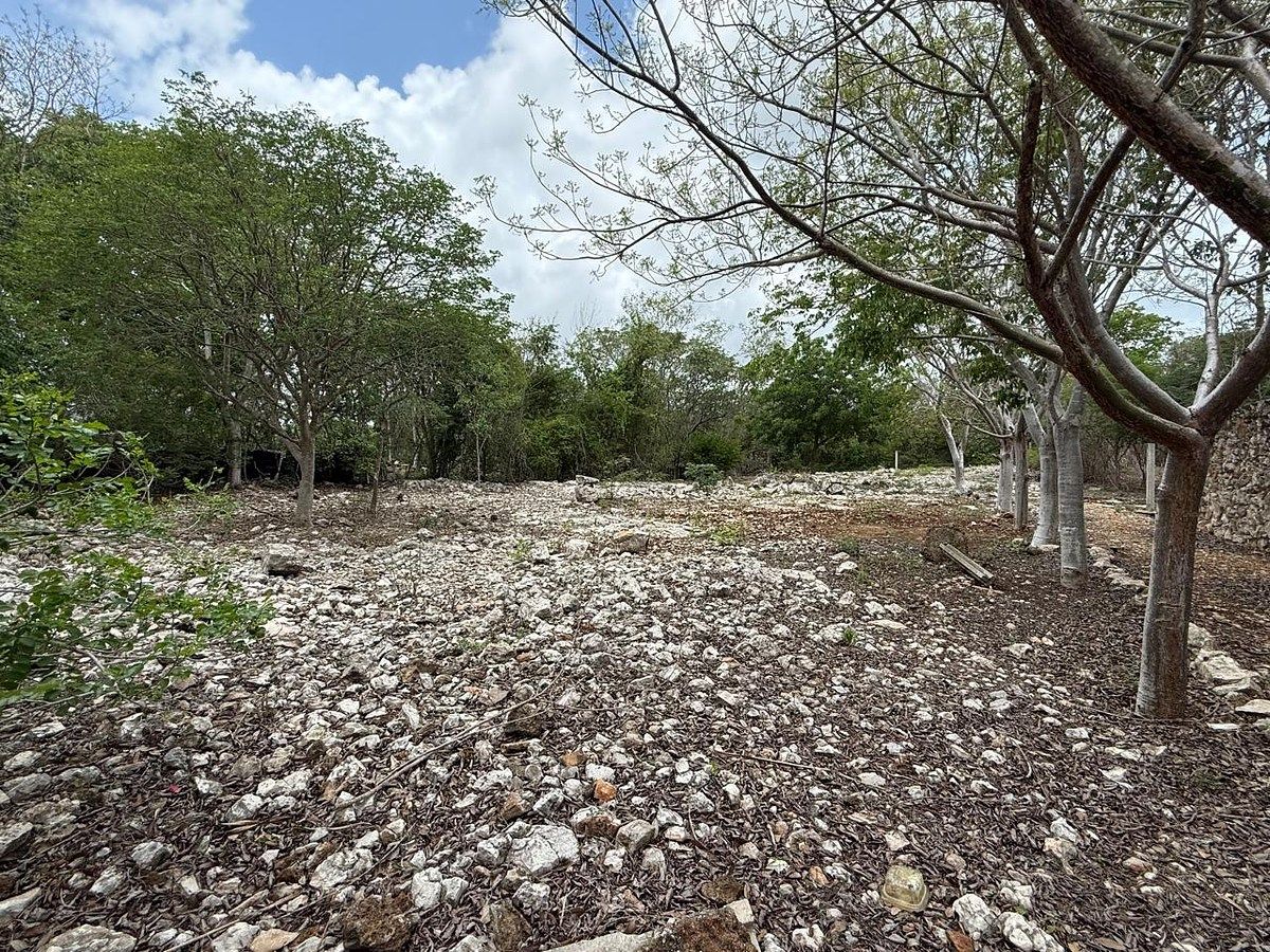 Lote em Santa Cruz Palomeque, Mérida, foto 9 de 10