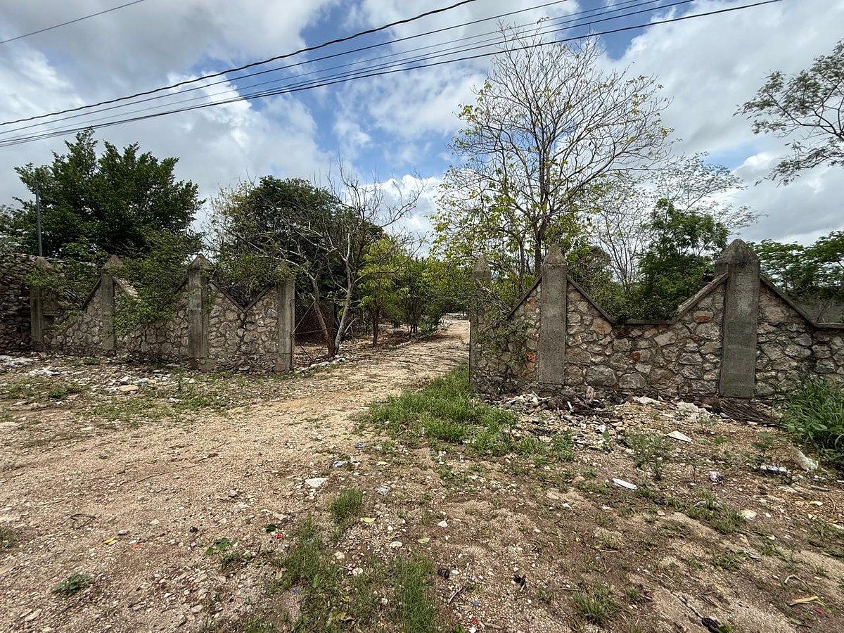 TERRENO DE 2,000 M2 EN VENTA EN SANTA CRUZ PALOMEQUE, MÉRIDA, foto 1 de 10