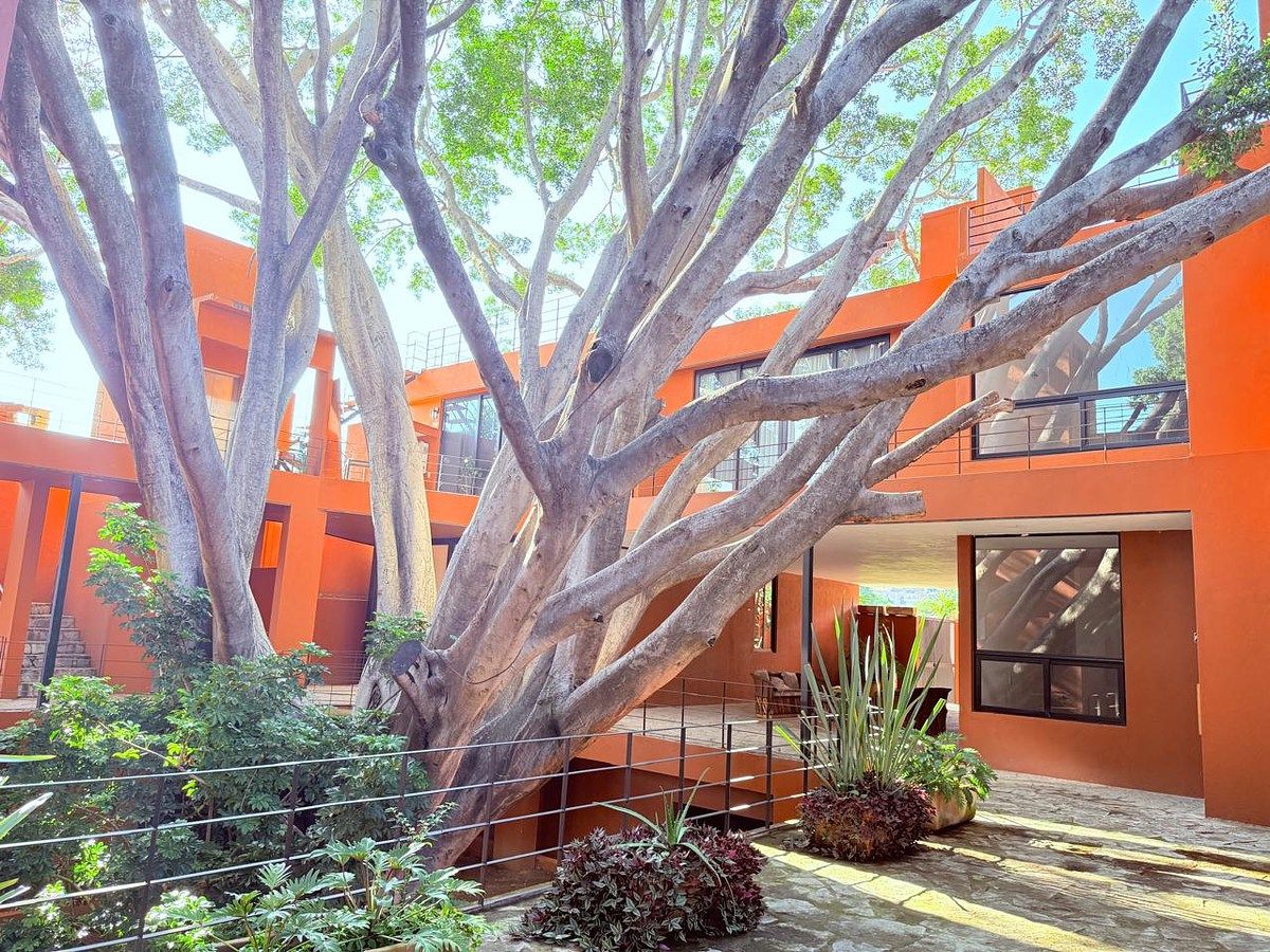 Apartamento em Ajijic Centro, Chapala, foto 7 de 12