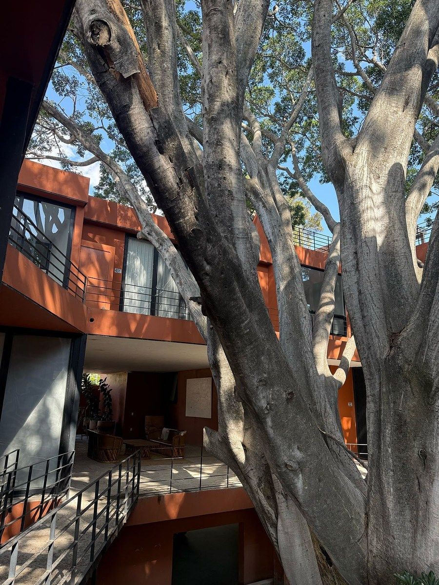 Apartamento em Ajijic Centro, Chapala, foto 5 de 7
