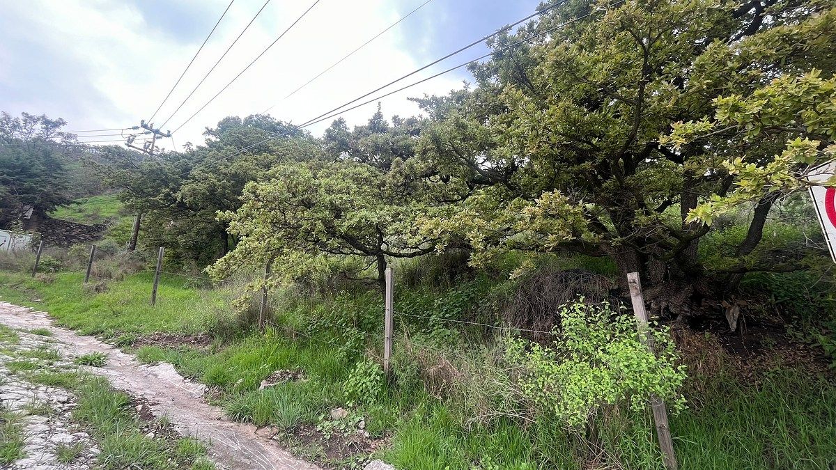 Industrial Lot in Zona Industrial 2 (México Nuevo), Atizapán de Zaragoza, photo 7 of 21