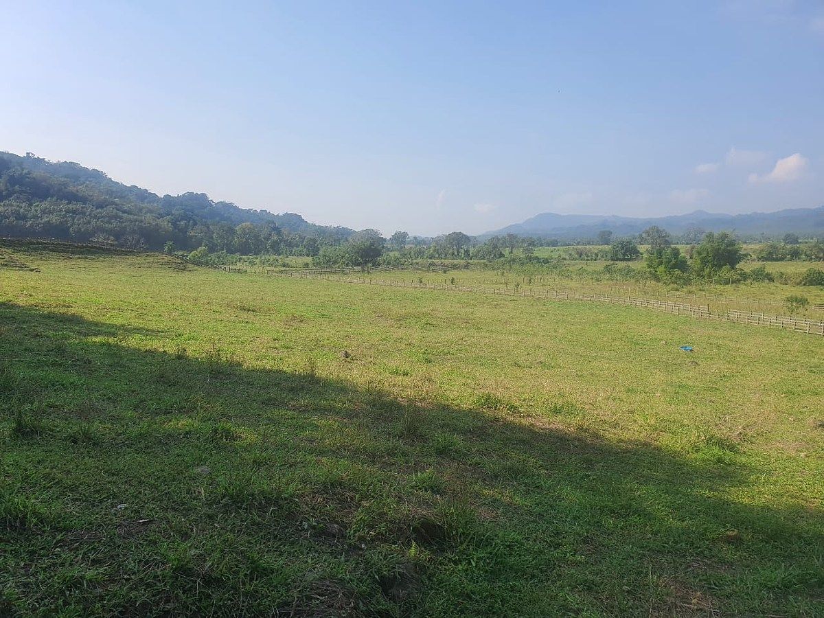 Exclusiva Finca en Venta cerca de Patulul, Suchitepéquez - Image 4