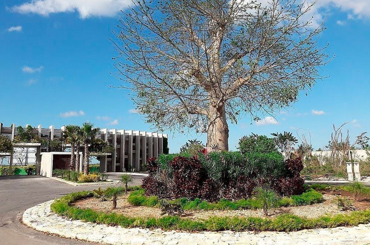 Lote em Yaxkukul, Yaxkukul, foto 4 de 8