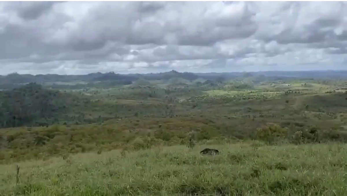 FINCA PROPIEDAD FORESTAL Y DE CONSERVACIÓN EN PETÉN