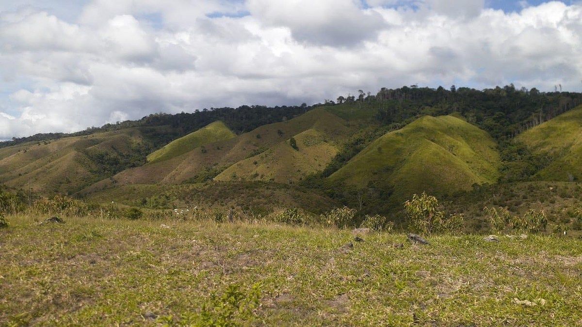FINCA PROPIEDAD FORESTAL Y DE CONSERVACIÓN EN PETÉN - Image 2