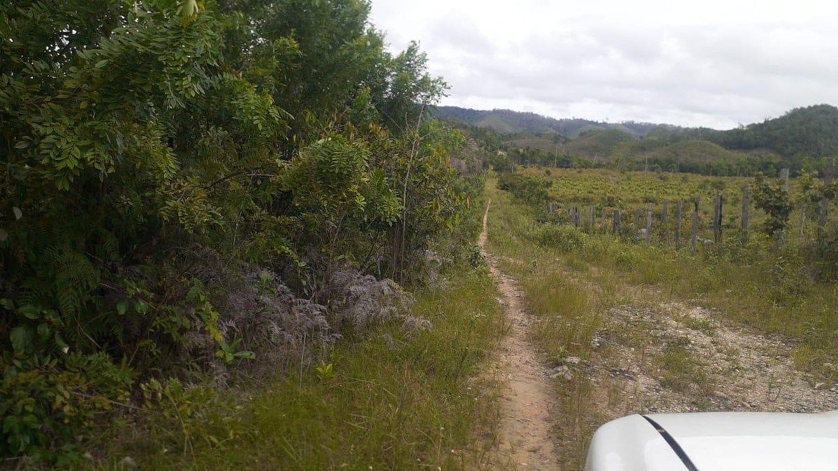 FINCA PROPIEDAD FORESTAL Y DE CONSERVACIÓN EN PETÉN - Image 3