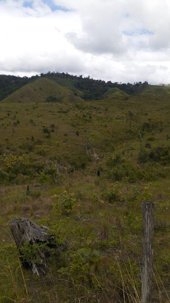 FINCA PROPIEDAD FORESTAL Y DE CONSERVACIÓN EN PETÉN - Image 4