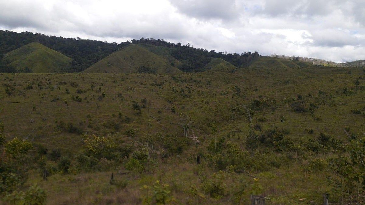 FINCA PROPIEDAD FORESTAL Y DE CONSERVACIÓN EN PETÉN - Image 5