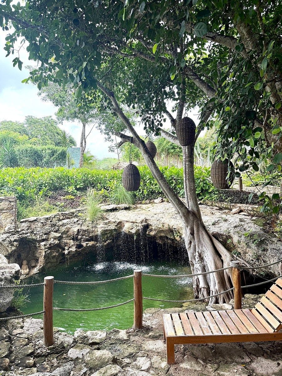 Casa en Pueblo Telchac Puerto, Telchac Puerto, foto 12 de 22
