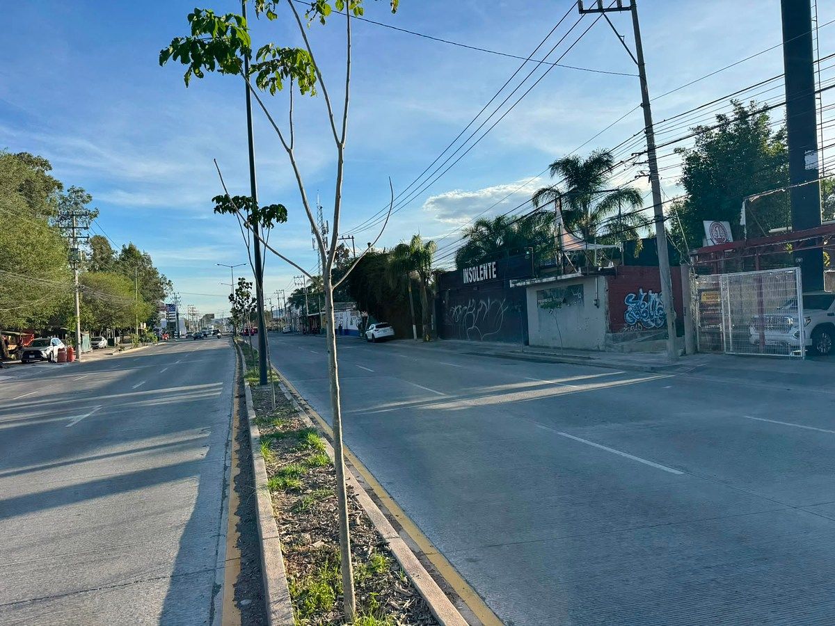 Local comercial en Los Gavilanes, Tlajomulco de Zúñiga, foto 13 de 13
