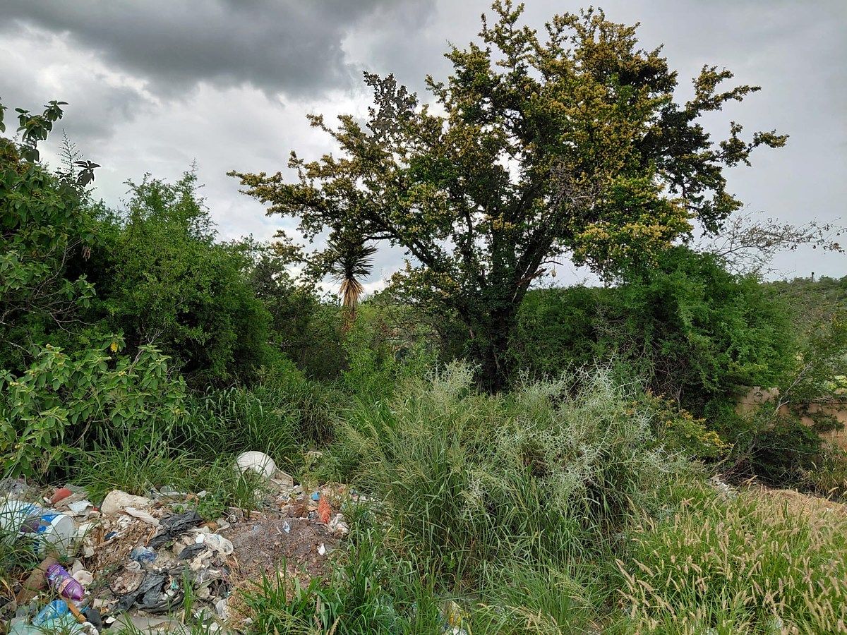 Lot in Rincón del Carmen, El Carmen, photo 2 of 4