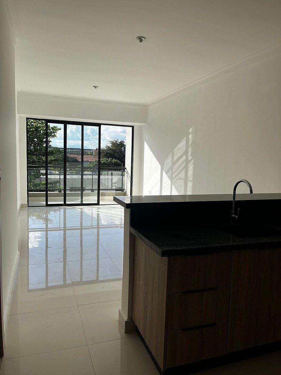 Apartamento en Renacimiento, Santo Domingo Centro (Distrito Nacional), foto 4 de 42