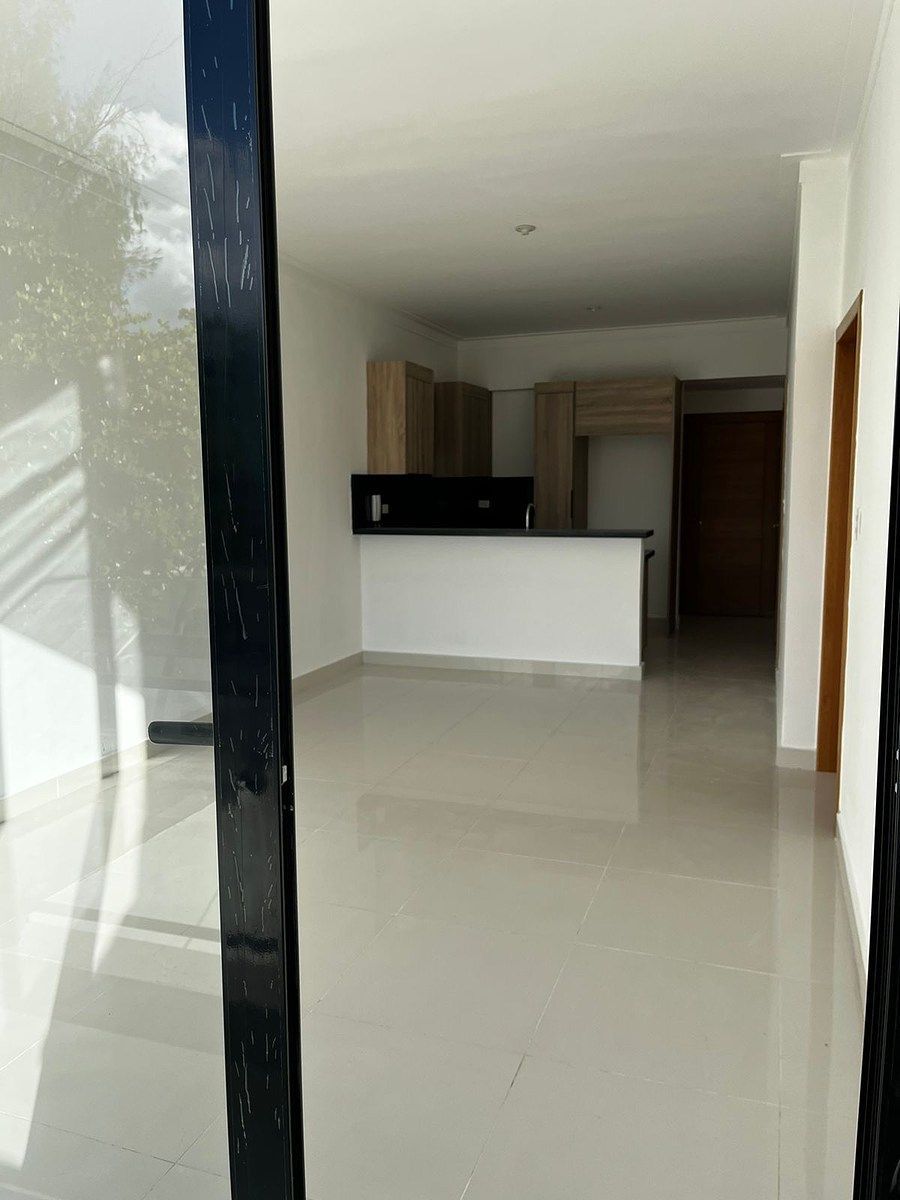 Apartamento en Renacimiento, Santo Domingo Centro (Distrito Nacional), foto 41 de 42
