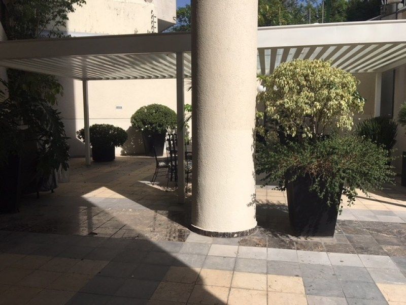 Departamento en Lomas de Chapultepec I Sección, Miguel Hidalgo, foto 8 de 20