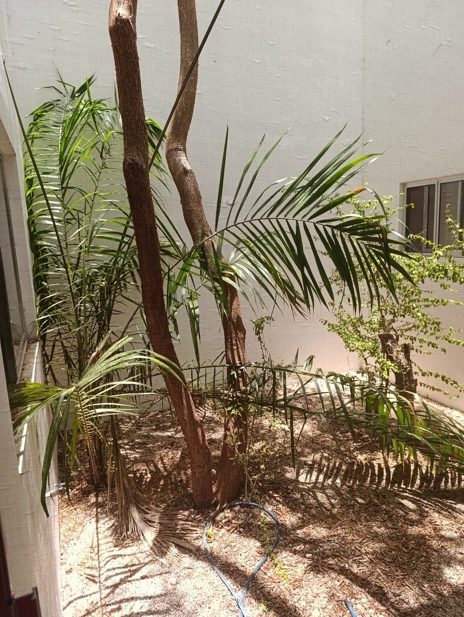 Apartamento em Royal del Parque, Mérida, foto 5 de 12