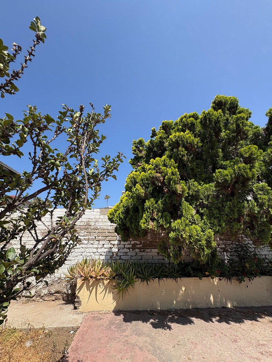 Casa em Ensenada Centro, Ensenada, foto 7 de 18
