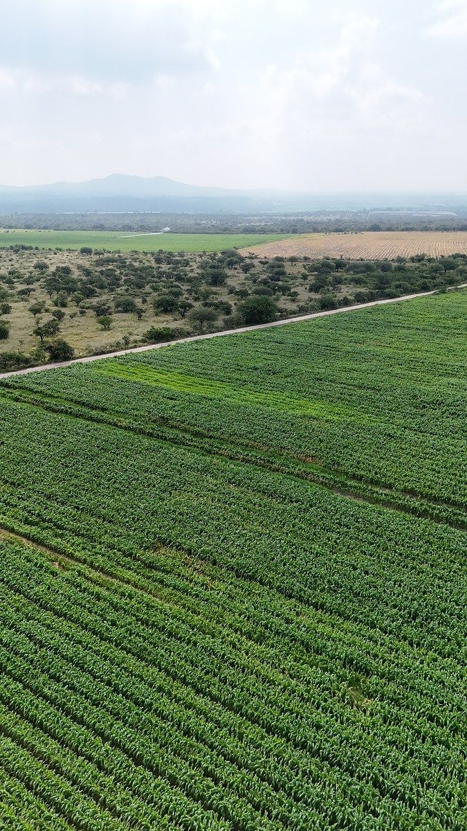 Lote em El Tanque de los Jiménez, Aguascalientes, foto 3 de 5