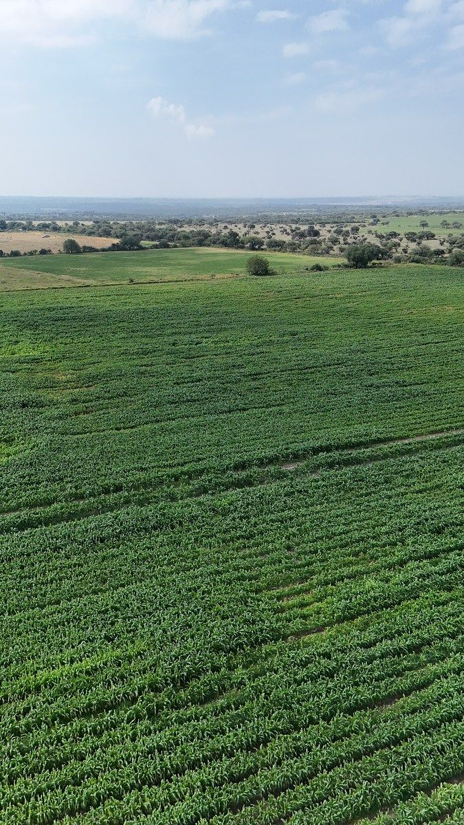 Lote em El Tanque de los Jiménez, Aguascalientes, foto 4 de 5
