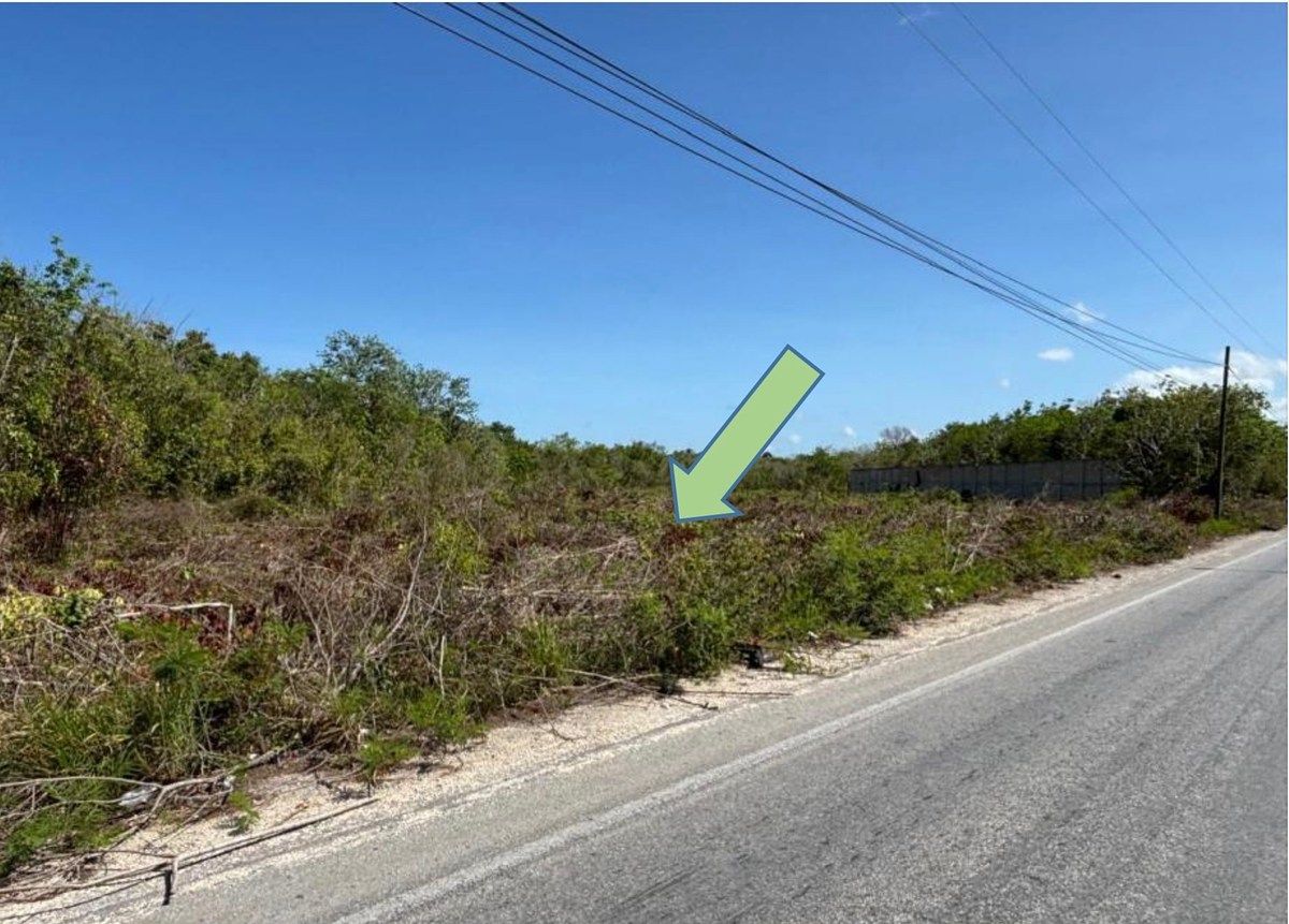 Lote em Alfredo V Bonfil, Benito Juárez, foto 2 de 5