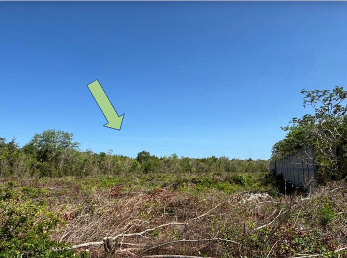 Lote em Alfredo V Bonfil, Benito Juárez, foto 3 de 5