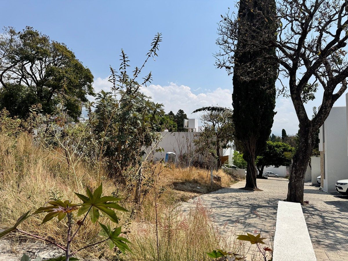Lot in Rancho Cortes, Cuernavaca, photo 3 of 8