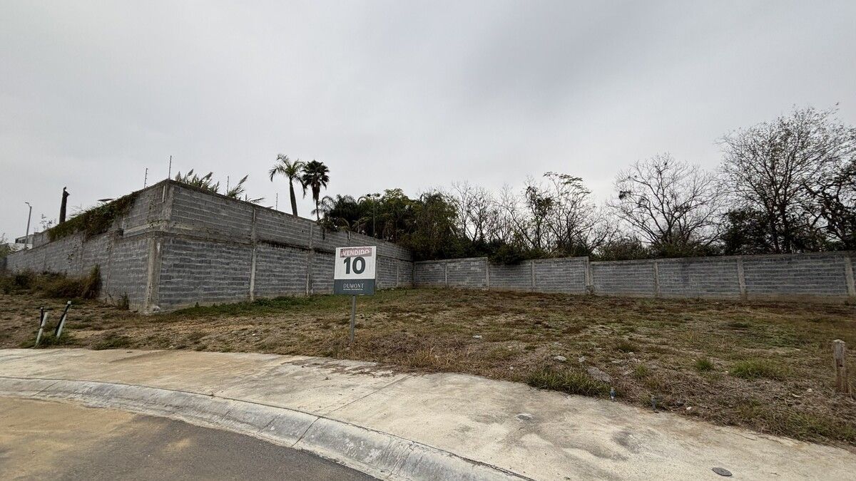 Lot in Los Rodriguez, Santiago, photo 6 of 14