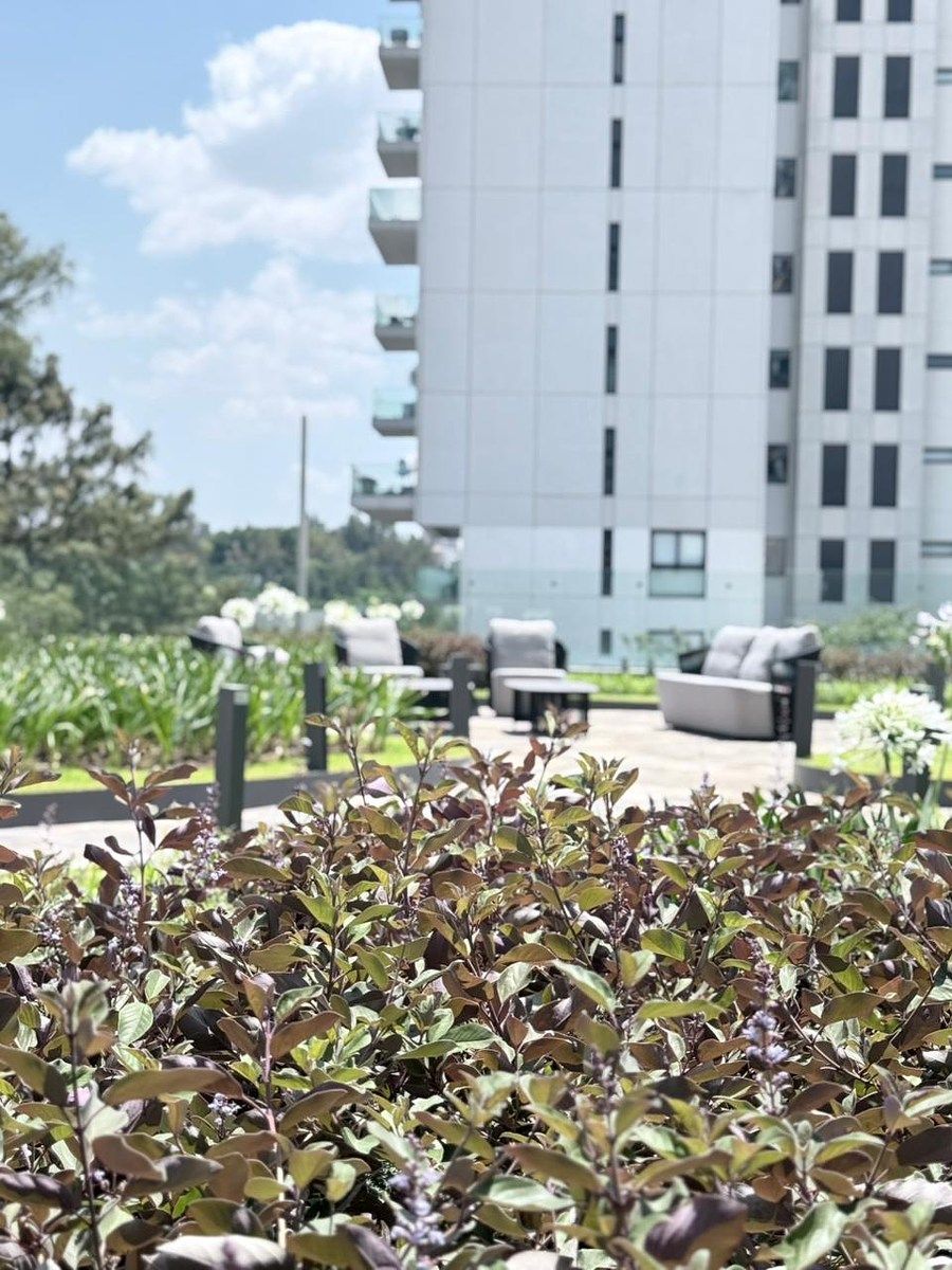 Apartamento em Puerta Plata, Zapopan, foto 18 de 21
