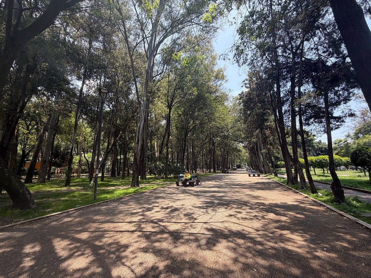 Departamento en Ciudad Jardín, Coyoacán, foto 36 de 37
