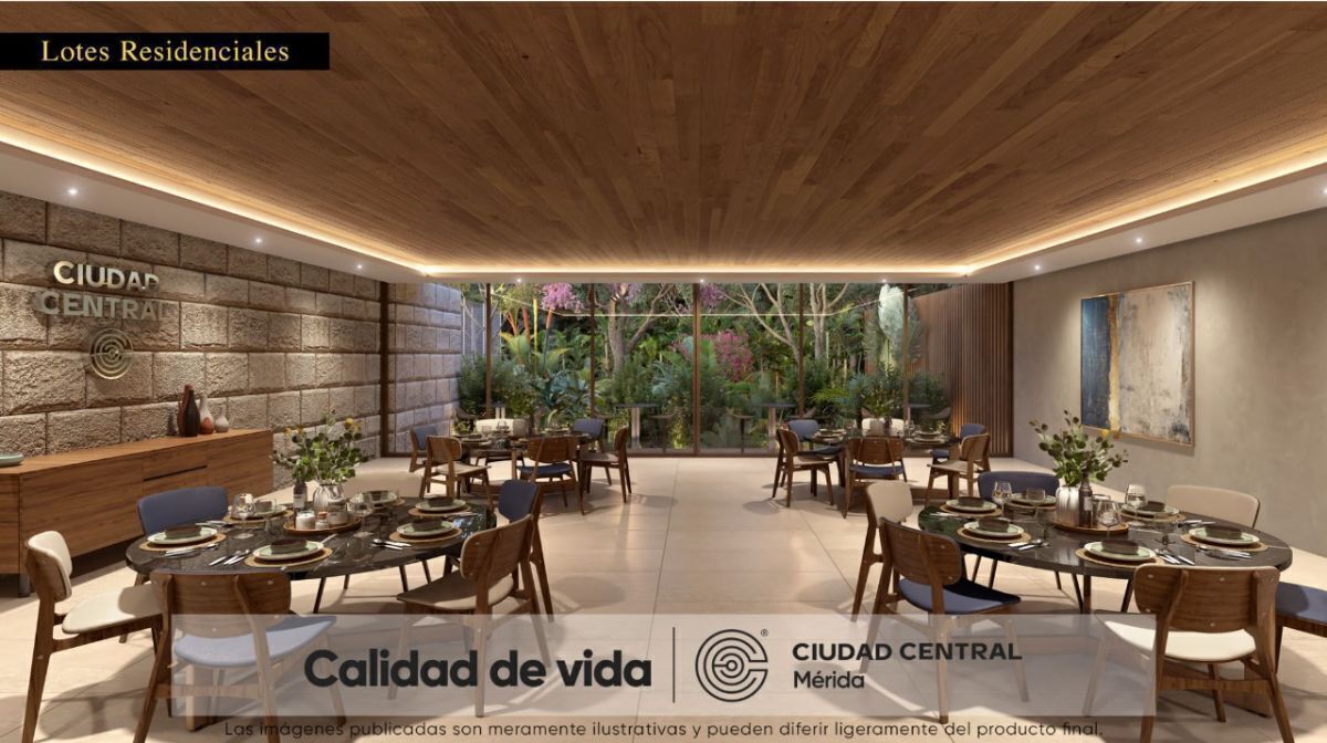 Lote em Cholul, Mérida, foto 16 de 49
