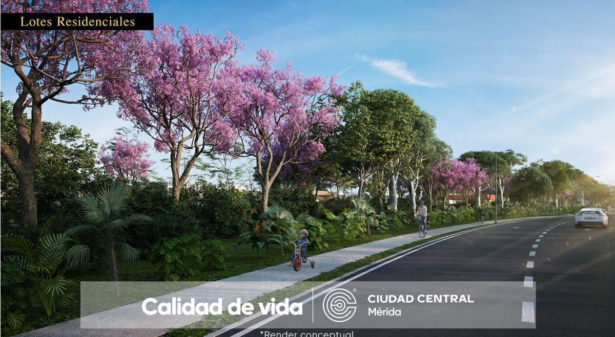 Lote em Cholul, Mérida, foto 22 de 49
