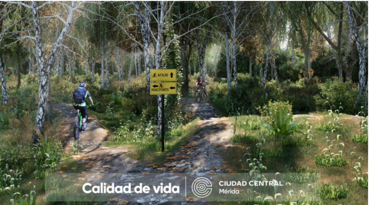 Lote em Cholul, Mérida, foto 34 de 49