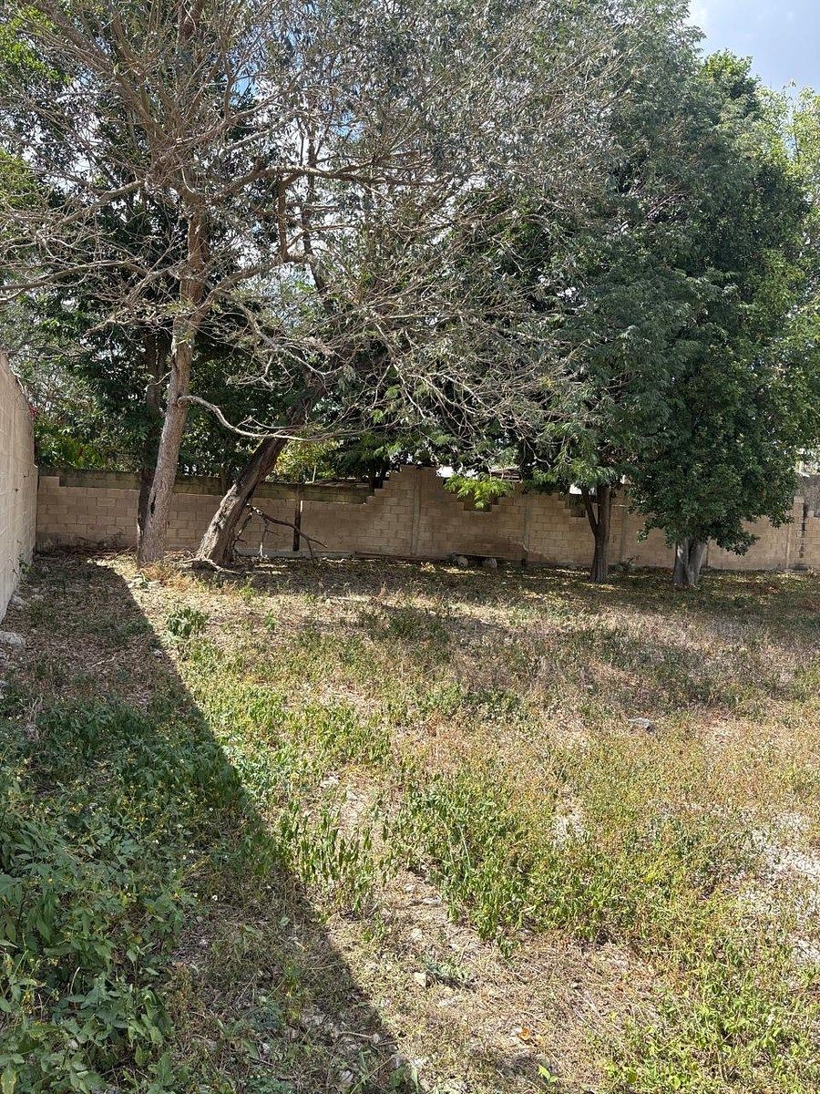 Casa en Dzityá, Mérida, foto 10 de 13
