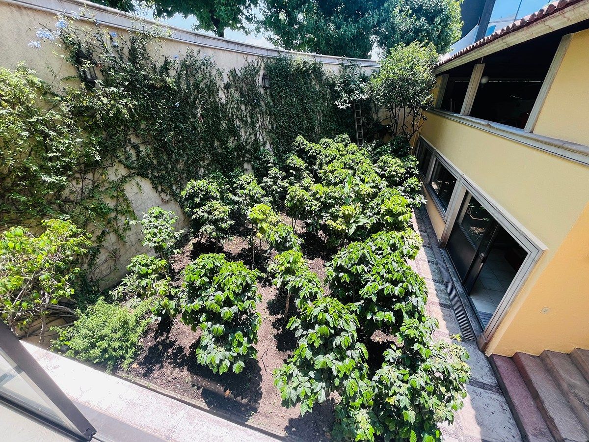 Office in Parque del Pedregal, Tlalpan, photo 13 of 16
