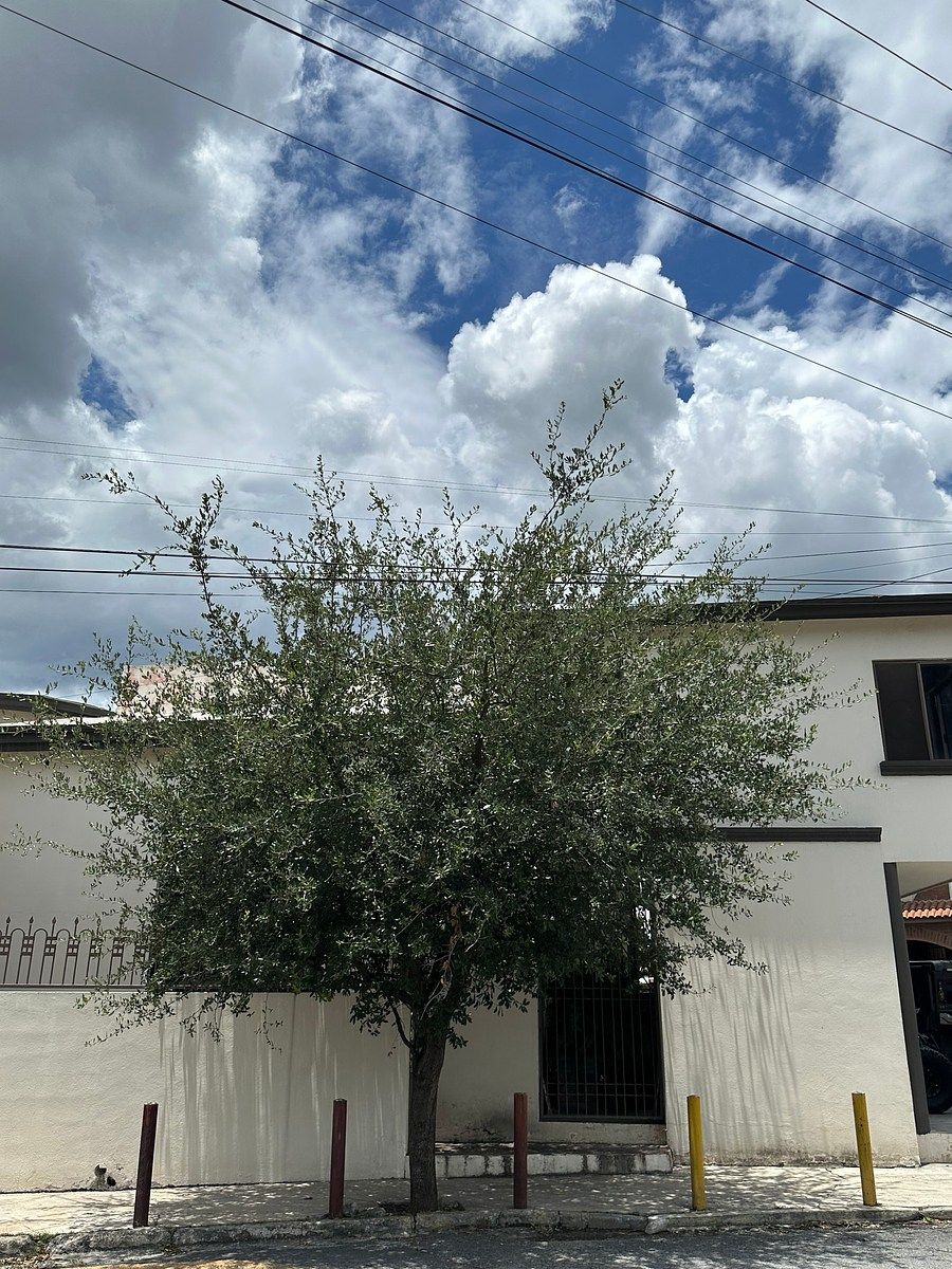 Casa em Burócratas del Estado, Monterrey, foto 2 de 5